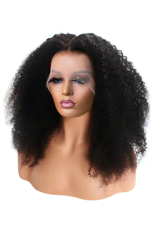 Gallery Style Curly Wigs 018